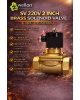 Wellon SV 220V 2 Inch Brass Solenoid Valve – Heavy Duty Industrial Water Control Valve (0–10 kg/cm²)